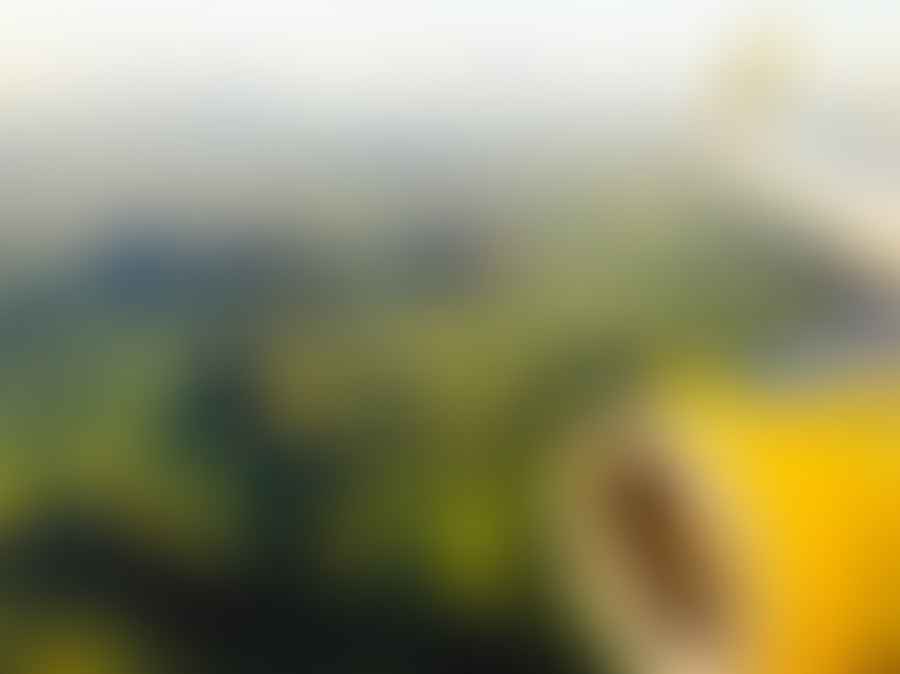 Airplane flying over lush green landscape symbolizing green air travel